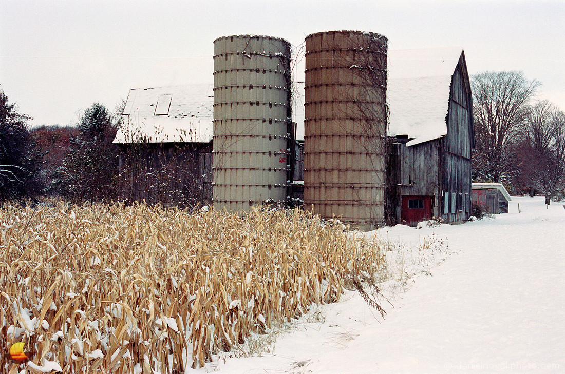 Corn & Snow, Rural Southtowns in Winter, Buffalo, NY