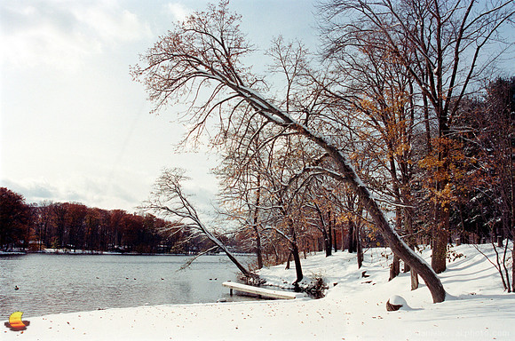 The Green Lake Watchmen