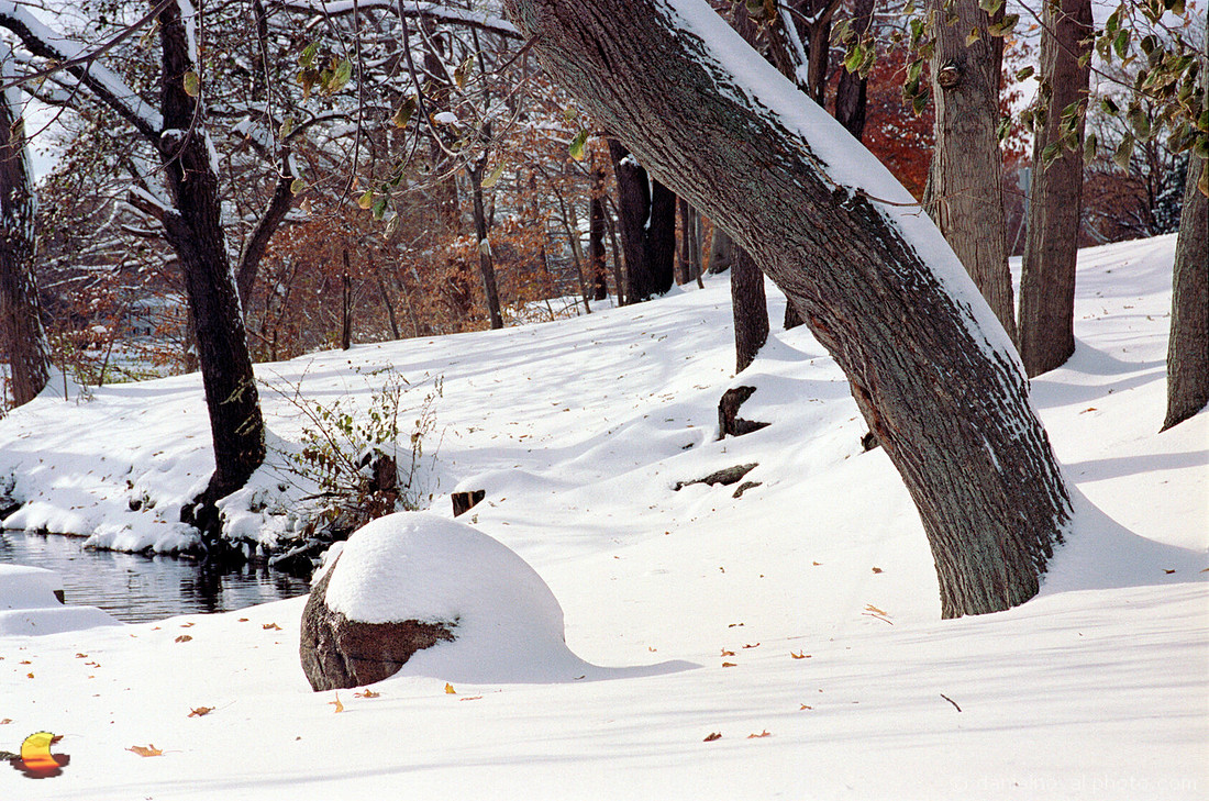 Watchman's Big Toe, Green Lake, Orchard Park, NY in Winter