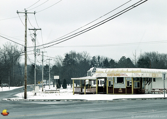 Custard Light on New Year's Day