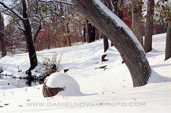 Watchman's Big Toe, Green Lake, Yates Park, Orchard Park, NY in Winter