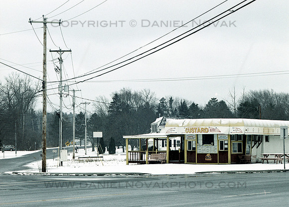 Custard Light on New Year's Day; Winter in Orchard Park, NY