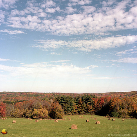 Hay Bales by Mill Road