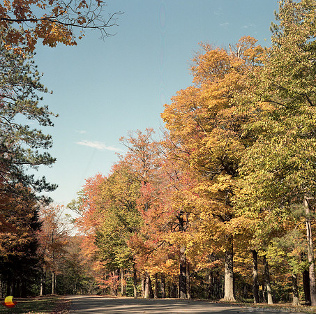 Colorful Alley at Emery Park