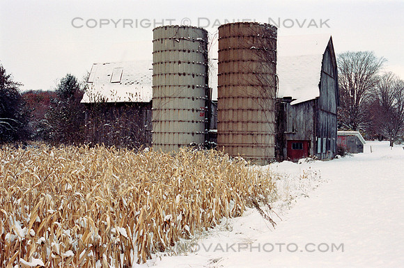 Corn & Snow, Barn & Silos, Rural Southtowns of Buffalo, New York in  Winter