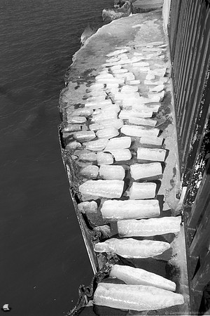 Buffalo Ice Maker