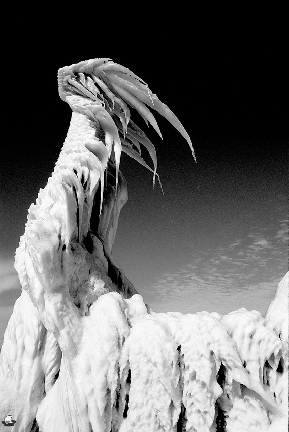 The Ice Claw, Kingdom of Ice, Hamburg, NY. Photographed with a Nikon FE on Ilfod Delta 100 black and white film and developed in Kodak XTOL.
