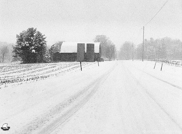 Winter On Draudt Road