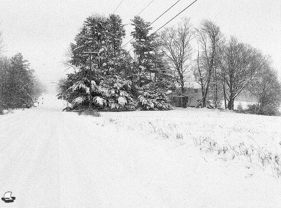 Farmhouse in Trees in Winter
