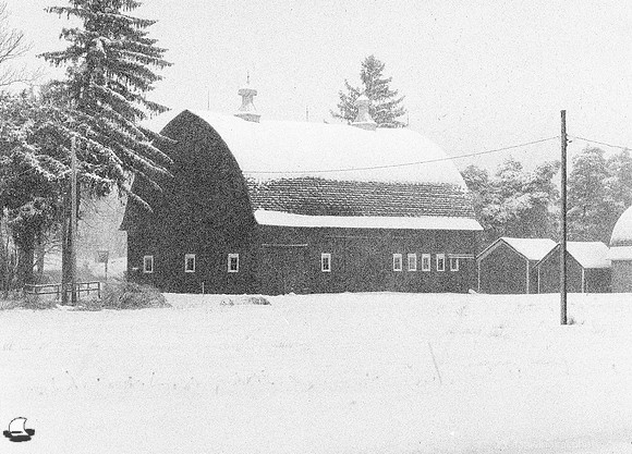 Winter on Chestnut Ridge Road