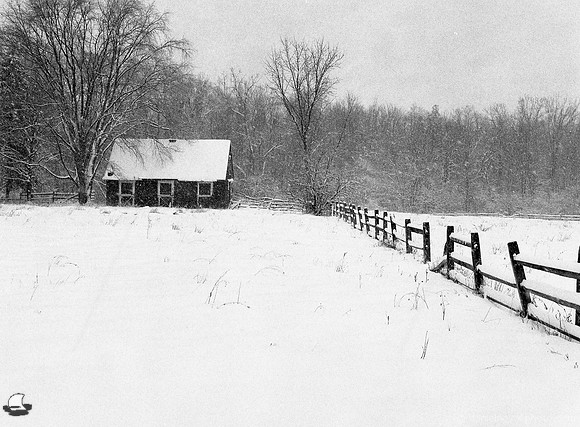 Old Shed in the Field