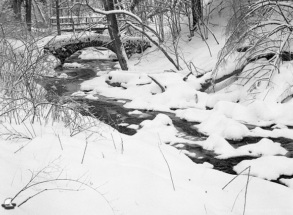Freezing Waters