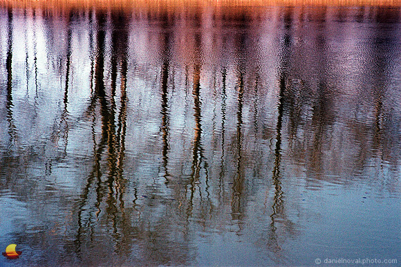 Spring Reflection