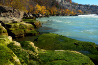 Mossy Niagara River Banks at Whirlpool State Park, Niagara Falls, New York (NY)