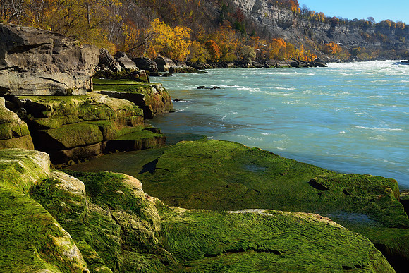 Mossy Niagara River Banks at Whirlpool State Park, Niagara Falls, New York (NY)