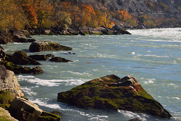 Fall around Lower Niagara River at Whirlpool State Park, Niagara Falls, New York (NY)