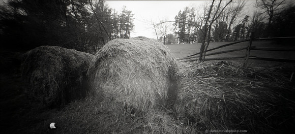 Hay Bales - WPPD 2020