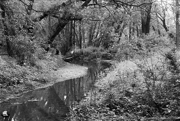 Creek