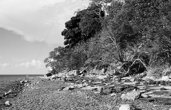 Rocky Lakeshore