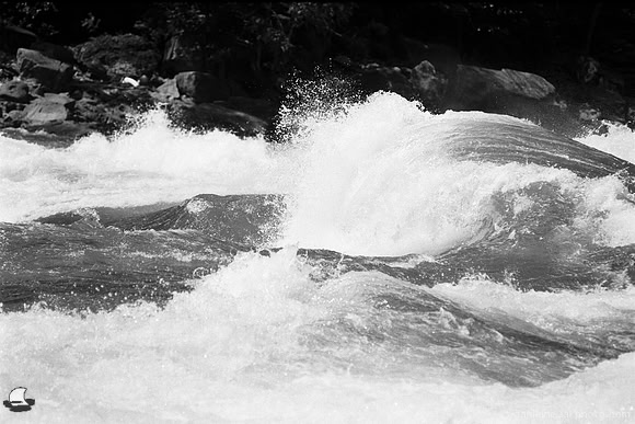 Lower Niagara Rapids - The Wave