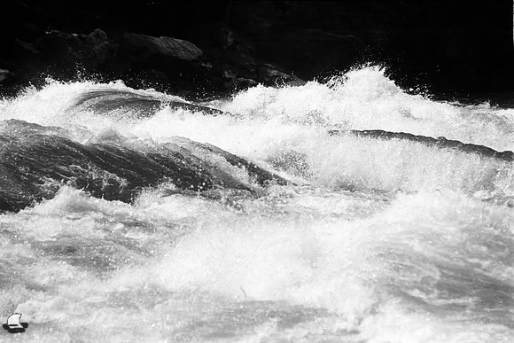 Lower Niagara Rapids - The Swell