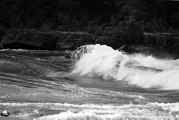 Lower Niagara Rapids - The Shore