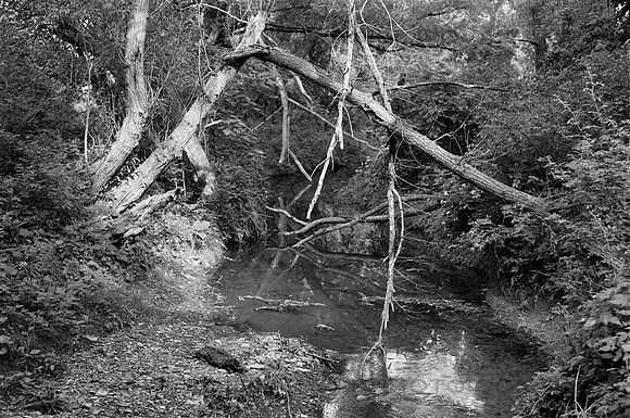 Birdsong Park Creek Gate, Orchard Park, New York