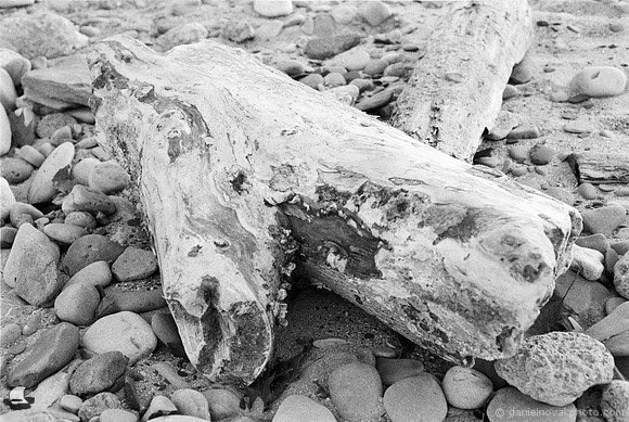 Driftwood Pattern