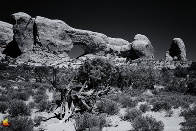 Window of Arches National Park, Utah (UT), Rocks in Black and White