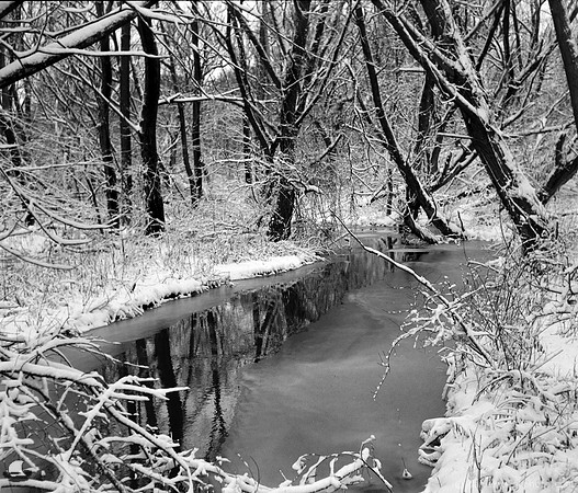 Winter Creek at Birdsong
