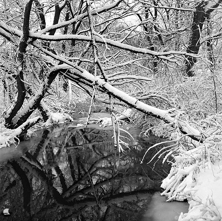 Birdsong Gate in Winter