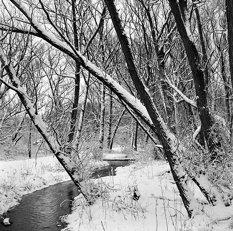 Through the Winter Landscape