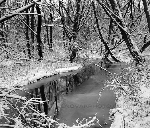 Winter Creek in Birdsong Park Covered in Ice and Snow, Orchard Park, New York (NY)