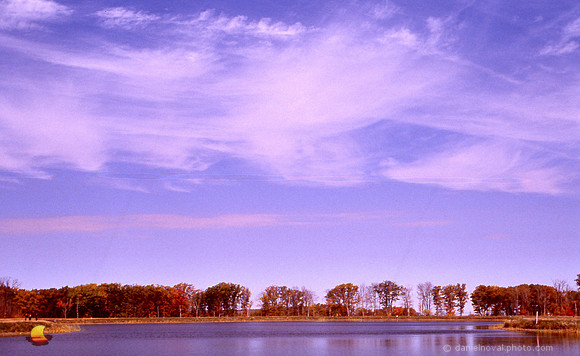 Sample B - Epson V600