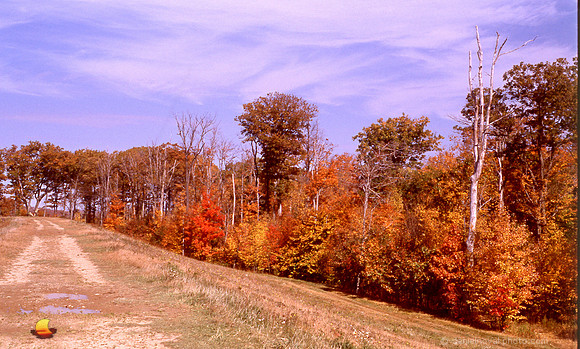 Sample C - Epson V600