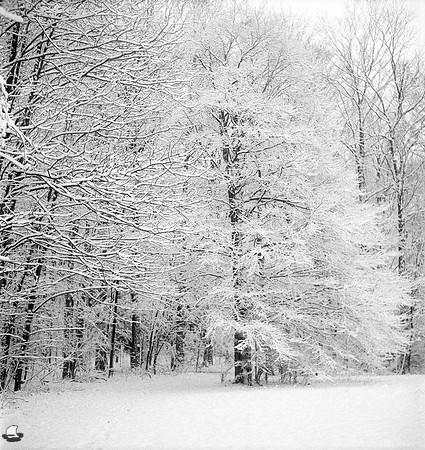 Winter Entrance