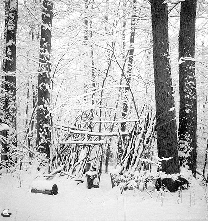 Winter Camp