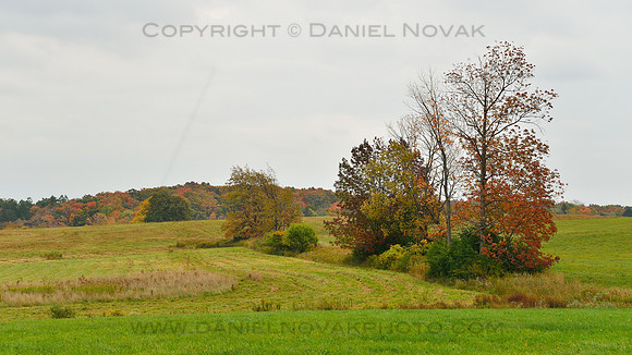 Fields & Trees of Fall, Southtowns of Buffalo, NY