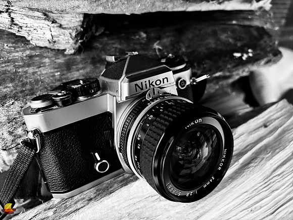 Nikon FE