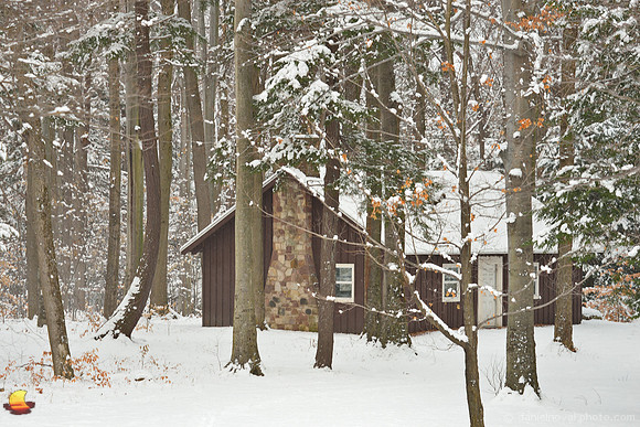 Cottage in the Woods in Winter
