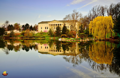 Spring Colors at the Buffalo History Museum and Japanese Garden
