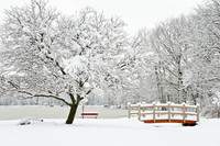 Green Lake and Yates Park in Snow, Orchard Park - Buffalo, New York, NY.
