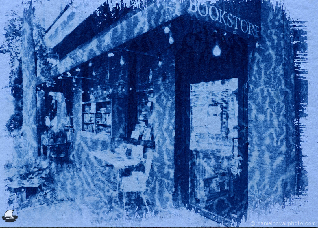 New Paltz Bookstore, Rough Texture Cyanotype, Batch 24