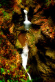 The Glen at Watkins Glen State Park and its Waterfalls, New York State (NY).