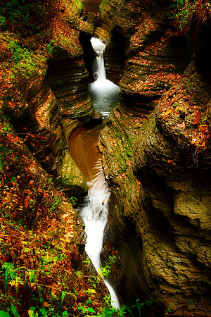The Glen at Watkins Glen State Park and its Waterfalls, New York State (NY).