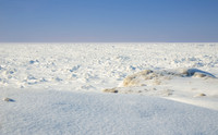 Arctic Tundra on the Lakeshore, frozen Lake Erie in WInter, Hamburg - Buffalo, New York (NY).