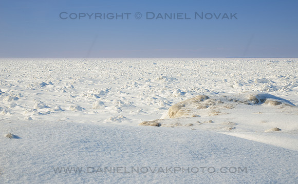 Arctic Tundra on the Lakeshore, frozen Lake Erie in WInter, Hamburg - Buffalo, New York (NY).