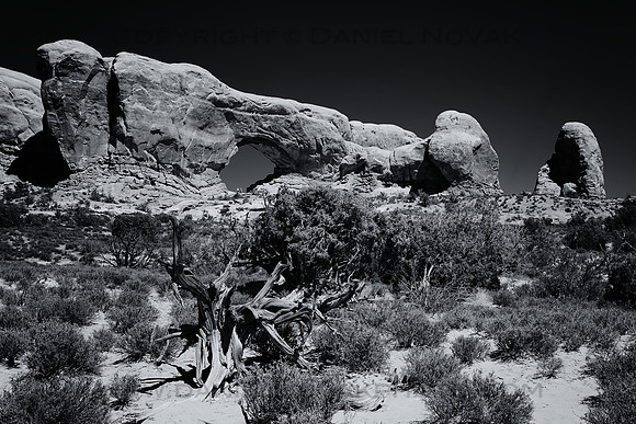 Windows of Arches