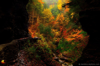 A Window, Watkins Glen State Park, Not the Typical View