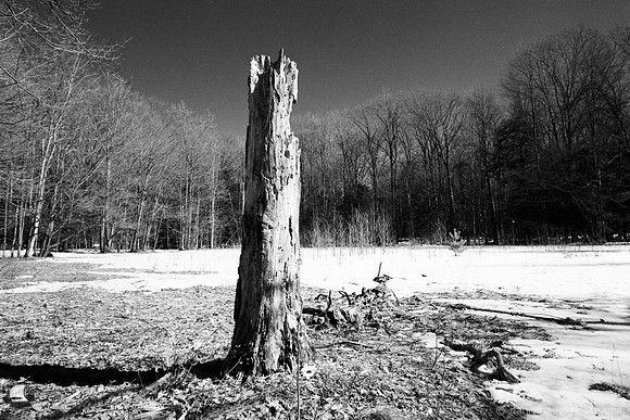 Last Stand, Chestnut Ridge Park